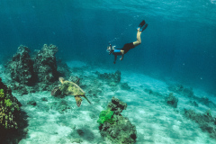 Diving-with-turtle